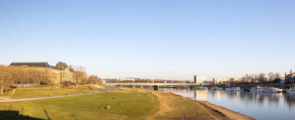 Elbwiese in der Inneren Neustadt