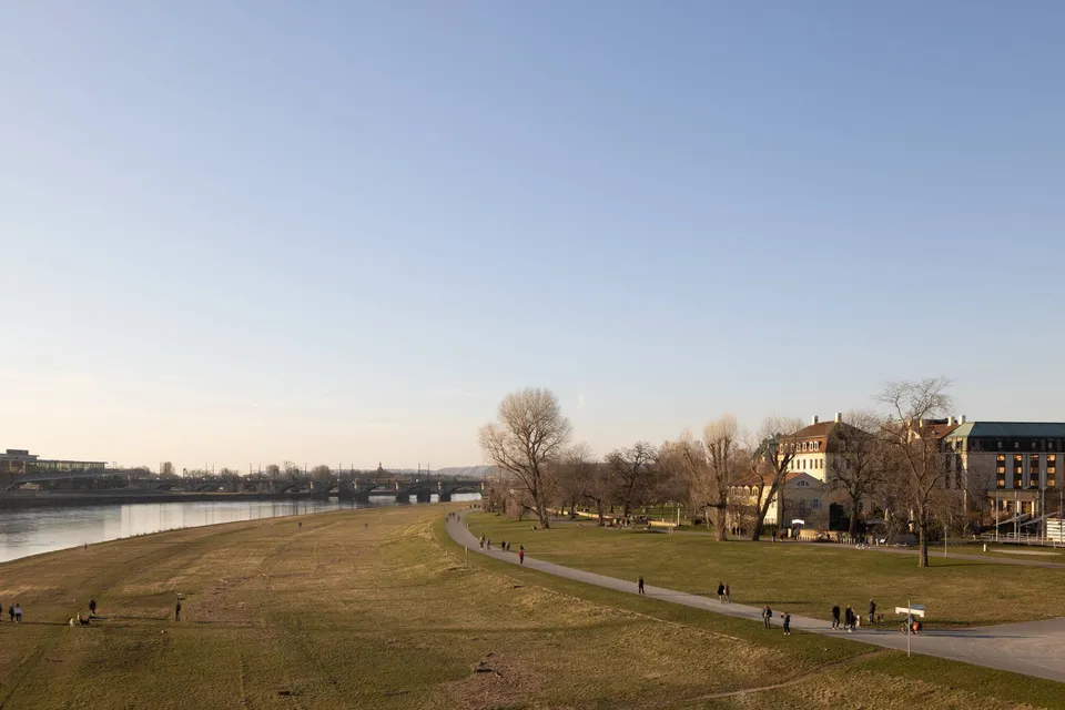 Elbwiese in der Inneren Neustadt