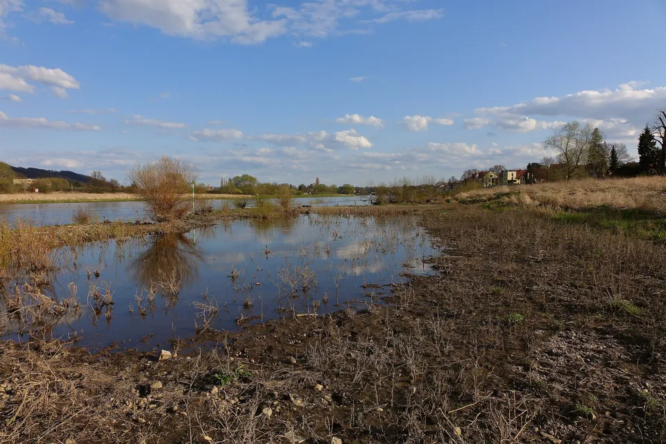 Die Elbe in Dresden-Laubegast